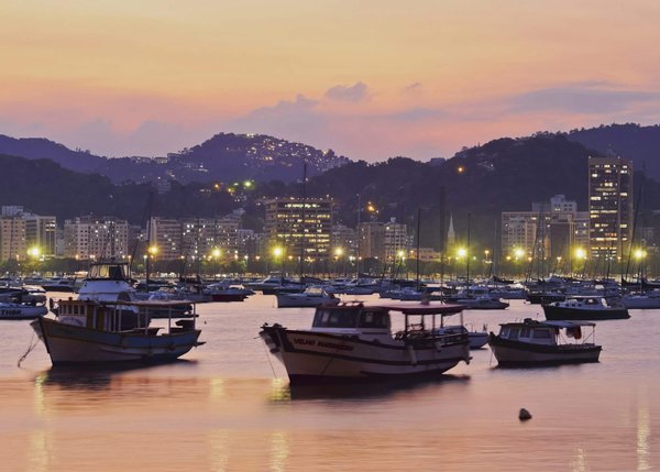 Comment la consommation de baies de goji peut-elle influencer la santé oculaire ?